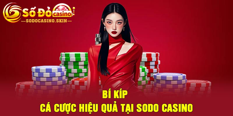 Bí kíp cá cược hiệu quả tại sodo casino